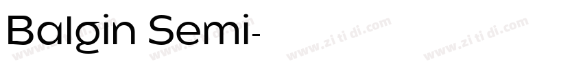 Balgin Semi字体转换